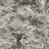 grey feather
